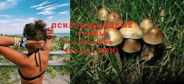 apvp Володарск