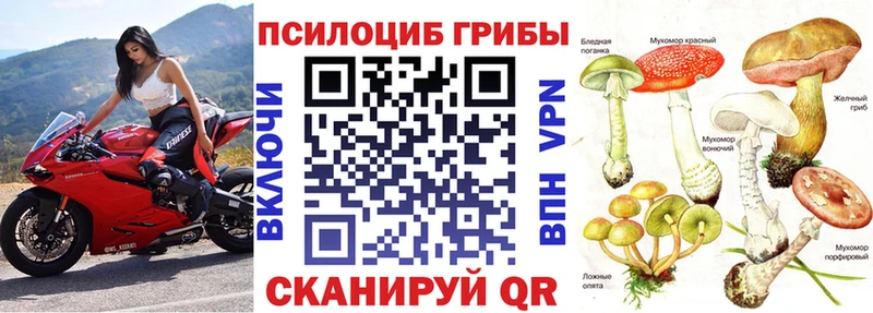 Псилоцибиновые грибы MAGIC MUSHROOMS  Духовщина 